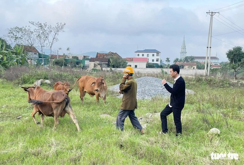 Ấm lòng dân mạng 'truy tìm' ba con bò đi lạc cho lão nông nghèo- Ảnh 3. Ông Sơn gọi điện cho người thân khi nhờ cộng đồng mạng tìm thấy ba con bò đi lạc - Ảnh: TÂM PHẠM