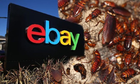 Nhân viên gửi gián sống cho khách, eBay bị phạt 3 triệu USD- Ảnh 1. eBay Inc. vừa chính thức nhận án phạt 3 triệu USD sau khi các nhân viên gửi gián, nhện sống và nhiều vật dụng quấy rối đến nhà một cặp vợ chồng ở bang Massachusetts - Ảnh: New Straits Times