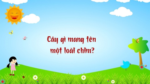 Câu đố hack não: Cái gì 2 lỗ, có gió thì sống, không gió thì chết?- Ảnh 5. Câu đố hack não: Cái gì 2 lỗ, có gió thì sống, không gió thì chết?- Ảnh 5.