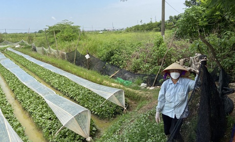 Người dân huyện Mê Linh (Hà Nội) mong có quỹ đất để sản xuất nông nghiệp quy mô lớn - Ảnh: Q.THẾ Người dân huyện Mê Linh (Hà Nội) mong có quỹ đất để sản xuất nông nghiệp quy mô lớn - Ảnh: Q.THẾ