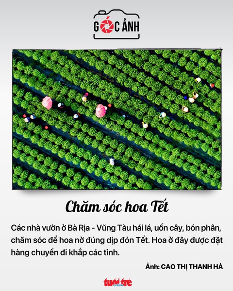 Tin tức sáng 15-1: Có thể đăng ký khai sinh, bảo hiểm y tế cho trẻ em, thường trú... qua mạng- Ảnh 5. Tin tức sáng 15-1: Có thể đăng ký khai sinh, bảo hiểm y tế cho trẻ em, thường trú... qua mạng- Ảnh 5.