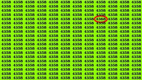 Mắt 10/10 mới thấy con dê đứng ở đâu?- Ảnh 4.