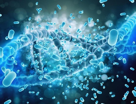Điều gì xảy ra nếu cho lợi khuẩn probiotics vào nước lau sàn?- Ảnh 2. Tưởng như không liên quan, sự kết hợp giữa bộ đôi lợi khuẩn probiotics và nước lau sàn lại xuất phát từ những cơ sở khoa học