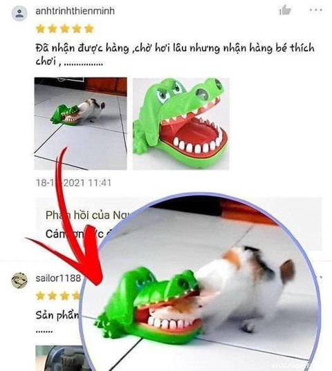 Ảnh vui 15-1: Làm tóc đón Tết bây giờ là vừa!- Ảnh 4. Rồi con mèo nó vui dữ chưa?!