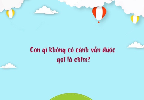 Câu đố hack não: Con gì bằng quả mướp, cướp cả làng?- Ảnh 5. Câu đố hack não: Con gì bằng quả mướp, cướp cả làng?- Ảnh 5.