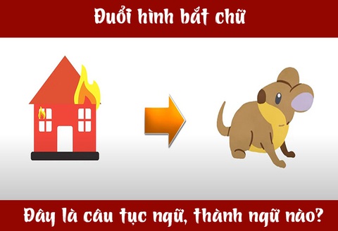 IQ cao có đoán được đây là câu tục ngữ, thành ngữ gì? (P34)- Ảnh 3. IQ cao có đoán được đây là câu tục ngữ, thành ngữ gì? (P34)- Ảnh 3.