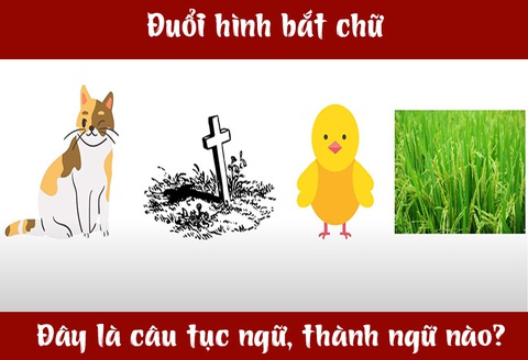 IQ cao có đoán được đây là câu tục ngữ, thành ngữ gì? (P32)- Ảnh 1. IQ cao có đoán được đây là câu tục ngữ, thành ngữ gì? (P32)- Ảnh 1.