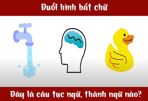 IQ cao có đoán được đây là câu tục ngữ, thành ngữ gì? (P35)- Ảnh 3. IQ cao có đoán được đây là câu tục ngữ, thành ngữ gì? (P35)- Ảnh 3.