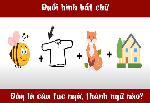 IQ cao có đoán được đây là câu tục ngữ, thành ngữ gì? (P33)- Ảnh 3. IQ cao có đoán được đây là câu tục ngữ, thành ngữ gì? (P33)- Ảnh 3.