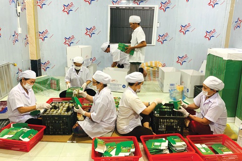 Công nhân gói bánh chưng tại Hợp tác xã Bà Ba Hội chuẩn bị cho đơn hàng đi Mỹ - Ảnh: T.THỦY Công nhân gói bánh chưng tại Hợp tác xã Bà Ba Hội chuẩn bị cho đơn hàng đi Mỹ - Ảnh: T.THỦY