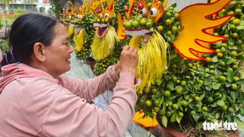 Kiểng tạo hình rồng độc lạ loại nhỏ hút khách- Ảnh 1. Một nghệ nhân đang tạo hình đầu rồng từ những cây tắc