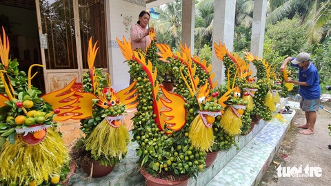 Kiểng tạo hình rồng độc lạ loại nhỏ hút khách- Ảnh 3. Bình quân mỗi ngày một người có thể làm được khoảng 2 con rồng từ cây tắc