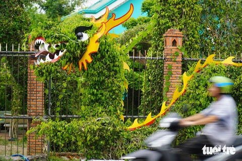 Kiểng tạo hình rồng độc lạ loại nhỏ hút khách- Ảnh 4. Một con rồng được tạo hình từ cây sanh trưng bày tại huyện Chợ Lách, tỉnh Bến Tre
