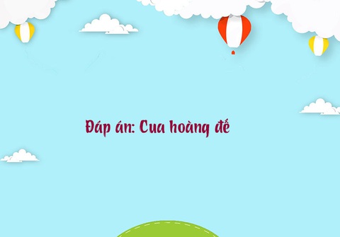 Câu đố hack não: Bán cái gì chỉ cần 4 bên đại diện?- Ảnh 6.