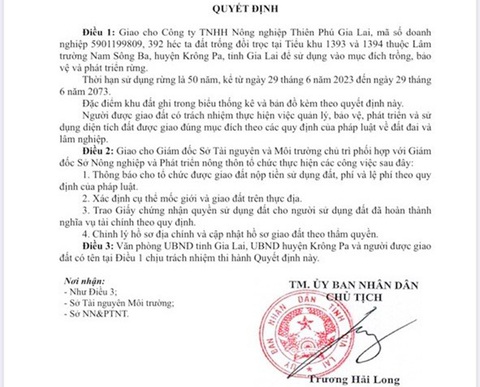 Chủ doanh nghiệp nói em mình làm giả quyết định giao gần 400ha đất tại Gia Lai- Ảnh 1. Quyết định giao đất giả được cho là do Nguyễn Thành Duy - em trai của chủ doanh nghiệp Thiên Phú Gia Lai thực hiện - Ảnh: H.C.Đ.