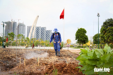 Công viên bờ sông Sài Gòn sẽ có thêm 20.000 cây hoa hướng dương chào Tết Giáp Thìn 2024- Ảnh 3. 20.000 cây hoa hướng dương được trồng bổ sung để kịp bung nở vào đúng dịp Tết Nguyên đán sắp tới