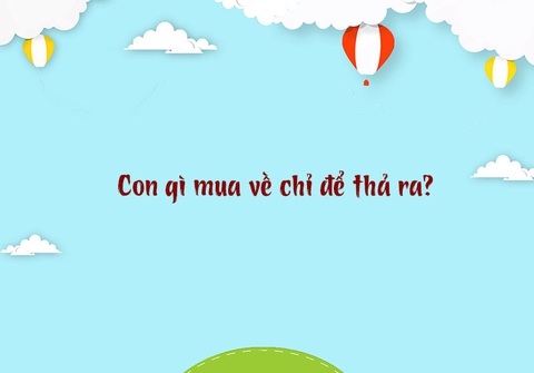 Câu đố hack não: Câu 'rồng đến nhà tôm', rồng là con gì?- Ảnh 3. Câu đố hack não: Câu 'rồng đến nhà tôm', rồng là con gì?- Ảnh 3.