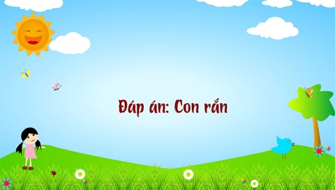 Câu đố hack não: Câu 'rồng đến nhà tôm', rồng là con gì?- Ảnh 6.