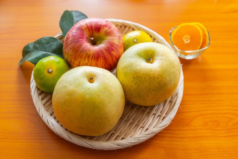 Hái trái cây tại vườn - đặc sản của Ehime, Nhật Bản- Ảnh 3. Hái trái cây tại vườn - đặc sản của Ehime, Nhật Bản- Ảnh 3.