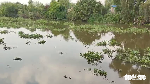 Đang truy bắt phạm nhân bơi qua sông, trốn khỏi Trại giam Mỹ Phước- Ảnh 1. Đoạn sông mà Hưng đã bơi qua và trốn mất - Ảnh: HOÀI THƯƠNG