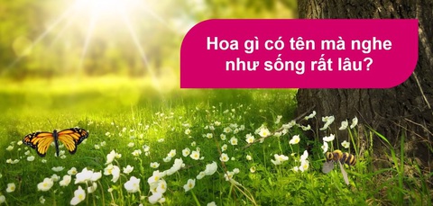 Câu đố hack não: Ăn gì không cần nhai?- Ảnh 3. Câu đố hack não: Ăn gì không cần nhai?- Ảnh 3.