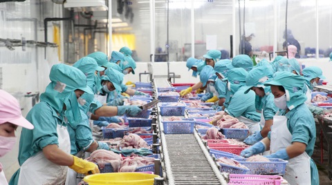 Cao tốc, cầu lớn miền Tây sẵn sàng, cả Đồng bằng sông Cửu Long rạo rực làm ăn- Ảnh 5. Giao thông đi trước, kinh tế theo sau. Cầu Mỹ Thuận 2 mở ra cơ hội đưa các dự án mới về miền Tây - Ảnh: CHÍ QUỐC