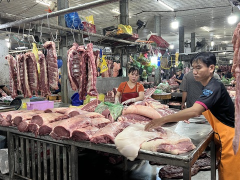 Có đến 7.000 con heo nhập lậu trong 2 tuần, người chăn nuôi Heo có truy xuất nguồn gốc được bán tại chợ đầu mối Bình Điền, TP.HCM - Ảnh: THẢO THƯƠNG