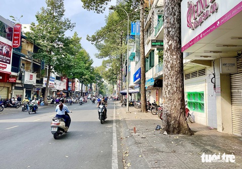 Ngồi bán hàng dưới gốc cây, một người bị nhánh cây rơi trúng đầu nguy kịch- Ảnh 1. Theo ghi nhận của phóng viên sáng 19-1, hiện trường vụ rơi nhánh cây ở đường Nguyễn Trãi (quận 5) đã được dọn dẹp - Ảnh: CHÂU TUẤN
