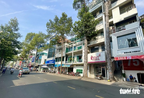 Người đàn ông bị nhánh cây rơi trúng đầu ở quận 5 đã qua đời- Ảnh 2. Đến sáng 19-1, khu vực xảy ra sự việc đã được đơn vị quản lý cây xanh thu dọn - Ảnh: CHÂU TUẤN