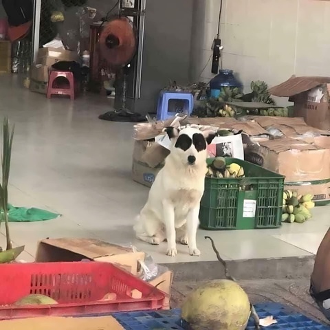Ảnh vui 2-1: Khi MC nói vợ của ai người đó hôn và cái kết- Ảnh 3. Đã dặn đi dặn lại phải ngủ trước 9 giờ mà!