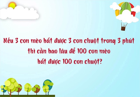 Câu đố hack não: Cái gì giúp bạn nhìn thẳng được qua tường?- Ảnh 5. Câu đố hack não: Cái gì giúp bạn nhìn thẳng được qua tường?- Ảnh 5.