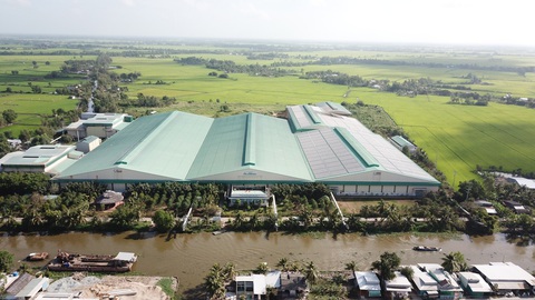 Phê duyệt dự án lấy nước ngọt vùng sông Hậu về tỉnh Bạc Liêu- Ảnh 1. Vùng sản xuất lúa tôm của huyện Hồng Dân, Bạc Liêu - Ảnh: CHÍ QUỐC