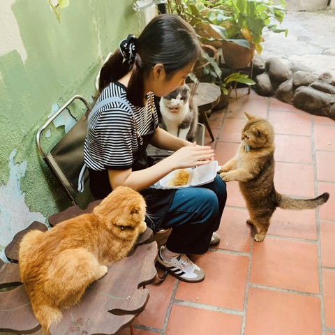 Ảnh vui 20-1: Điều ước của con khiến bố ra... 'chuồng gà'- Ảnh 5. Còn bao nhiêu ruốc mau nộp ra đây hết cho bọn ta.