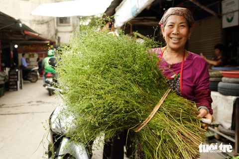 Tháng chạp đi chợ người giàu, người nghèo Hà Nội: Ngày xưa dễ mua, dễ bán hơn giờ- Ảnh 2. Tết sớm với mùi già ở chợ Bưởi - Ảnh: ĐẬU DUNG