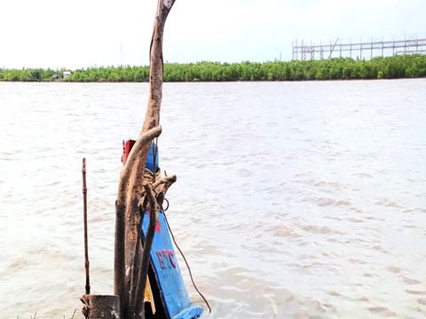 Đã tìm thấy hai thi thể trong vụ ba người mất tích sau tiếng nổ lớn nghi cưa bom- Ảnh 1. Chiếc vỏ lãi dài hơn 8m chỉ còn lại phần đầu được buộc bên gốc cây mắm ven sông Cửa Lớn, huyện Ngọc Hiển - Ảnh: THANH HUYỀN