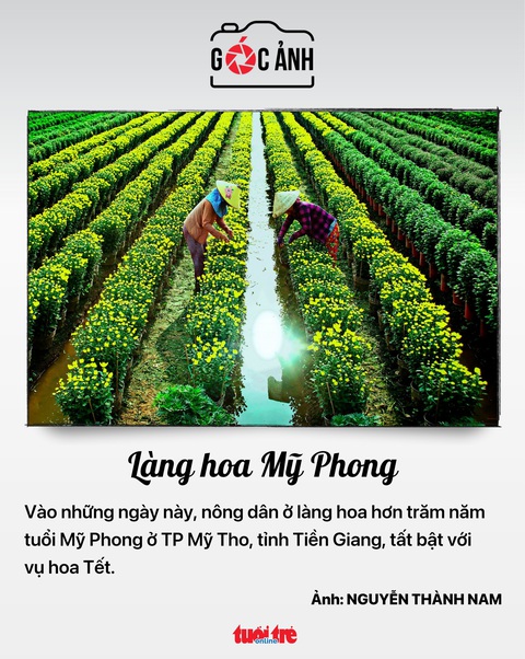 Làng hoa Mỹ Phong - Ảnh: NGUYỄN THÀNH NAM Làng hoa Mỹ Phong - Ảnh: NGUYỄN THÀNH NAM