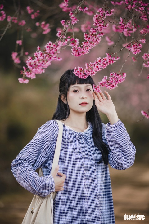 Mai anh đào Đà Lạt bắt đầu nở, du khách lên lịch ngắm hoa xuyên Tết- Ảnh 3. Du khách đến ngắm hoa vùng núi Langbiang chủ yếu là du khách trẻ - Ảnh: QUANG ĐÀ LẠT