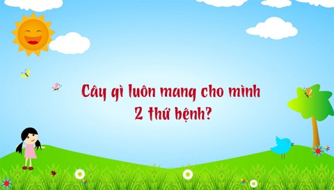 Câu đố hack não: Con gì không đầu, không cổ, mắt ở trên thân?- Ảnh 5. Câu đố hack não: Con gì không đầu, không cổ, mắt ở trên thân?- Ảnh 5.