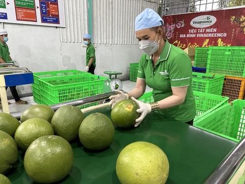 Mới đầu năm, nông sản xuất khẩu 'nổ' đơn liên tục- Ảnh 1. Mới đầu năm, nông sản xuất khẩu "nổ" đơn liên tục, đặc biệt là đơn hàng rau quả - Ảnh: THẢO THƯƠNG