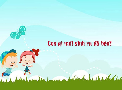 Câu đố hack não: Con gì mới sinh ra đã béo?- Ảnh 1. Câu đố hack não: Con gì mới sinh ra đã béo?- Ảnh 1.