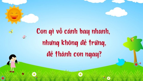 Câu đố hack não: Con gì mới sinh ra đã béo?- Ảnh 5. Câu đố hack não: Con gì mới sinh ra đã béo?- Ảnh 5.