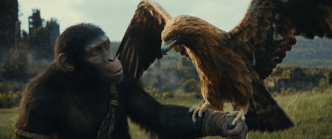Disney quyết lấy lại ngôi vương phòng vé, công bố hàng loạt bom tấn cho năm mới- Ảnh 4. Planet of the Apes là một dòng phim thương mại nổi bật khi vẫn duy trì được chất lượng kỹ xảo, kịch bản cũng như diễn xuất - 20th Television