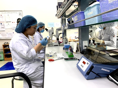 Xếp hạng các trường đại học Việt Nam: 41 xuống hạng, 16 ra khỏi top- Ảnh 1. Nghiên cứu viên làm việc tại phòng thí nghiệm của Trường đại học Quốc tế (Đại học Quốc gia TP.HCM) - Ảnh: TRẦN HUỲNH