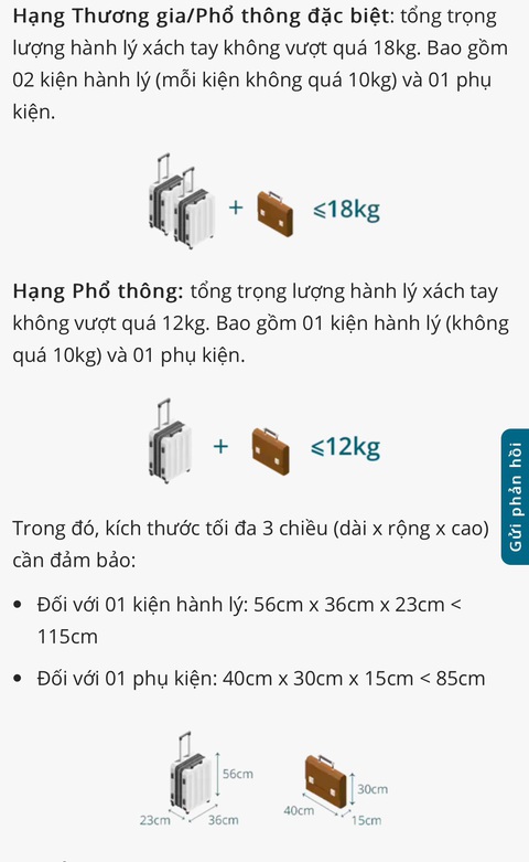 Tăng kiểm tra cân nặng hành lý ở Tân Sơn Nhất, khách 'lố' ký phải đóng thêm tiền- Ảnh 3. Quy định hành lý xách tay của Vietnam Airlines - Ảnh chụp màn hình website Vietnam Airlines