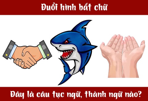 Câu tục ngữ, thành ngữ 'khó nhằn' này là gì? (P39)- Ảnh 1. Câu tục ngữ, thành ngữ 'khó nhằn' này là gì? (P39)- Ảnh 1.
