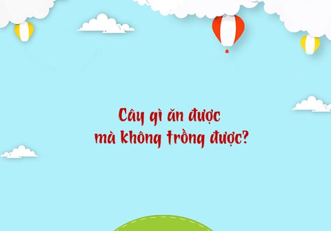 Câu đố hack não: Cái gì càng thổi thì càng xẹp?- Ảnh 3. Câu đố hack não: Cái gì càng thổi thì càng xẹp?- Ảnh 3.