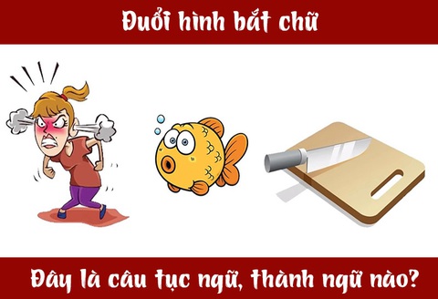 Câu tục ngữ, thành ngữ 'khó nhằn' này là gì? (P39)- Ảnh 3. Câu tục ngữ, thành ngữ 'khó nhằn' này là gì? (P39)- Ảnh 3.
