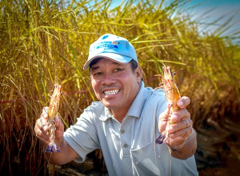 Nông sản được mùa, nông dân ăn Tết lớn- Ảnh 1. Ông Lê Văn Mưa (huyện Thới Bình, tỉnh Cà Mau) vui mừng vì năm nay vừa trúng được vụ lúa thu được hơn 55 triệu đồng, vừa trúng vụ tôm hơn 50 triệu đồng - Ảnh: THANH HUYỀN