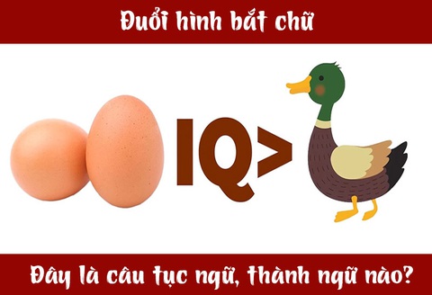 Câu tục ngữ, thành ngữ 'khó nhằn' này là gì? (P38)- Ảnh 3. Câu tục ngữ, thành ngữ 'khó nhằn' này là gì? (P38)- Ảnh 3.