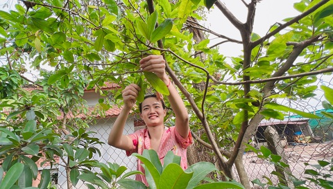 7 bí quyết Tết nhẹ nhàng, không cập rập đủ thứ việc- Ảnh 3. Chăm sóc cây kiểng đừng đợi cận Tết mới làm - Ảnh: YẾN TRINH